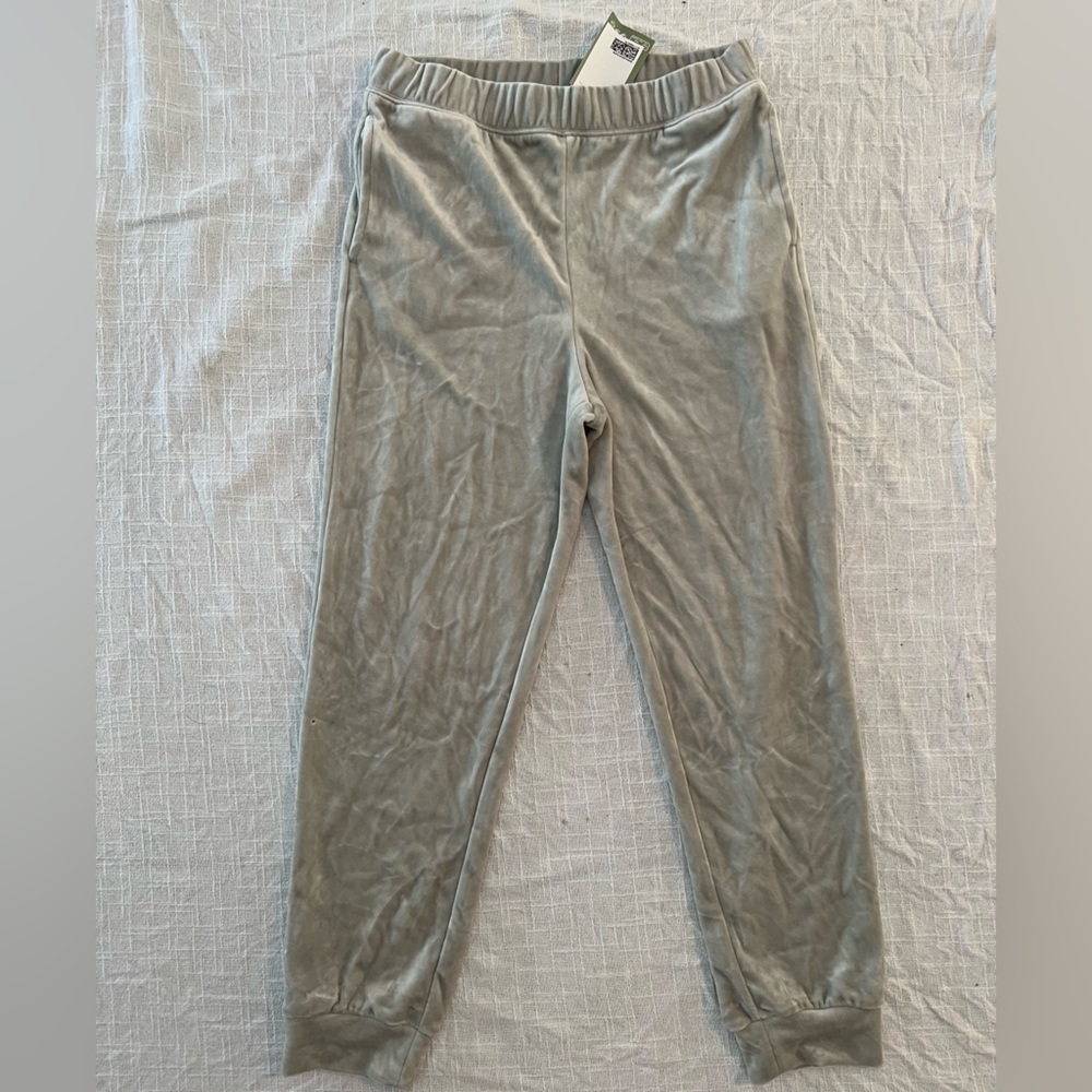 H&M *NWT (with flaw) women's gray velvet sweatpants | MEDIUM
